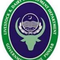 Punjab Livestock & Dairy Development Board-PLDDB Logo