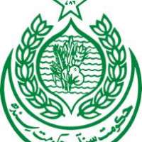 Government Of Sindh Logo