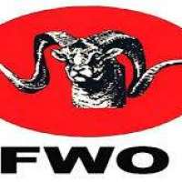 Frontier Works Organization Logo