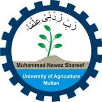 Muhammad Nawaz Sharif University Logo