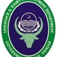 Directorate Of Livestock & Dairy Development Logo