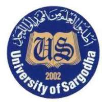 University Of Sargodha Logo