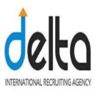 Delta International Recruiting Agency Logo