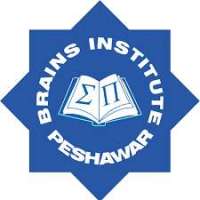 Brains Institute Logo