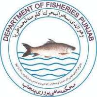 Department Of Fisheries Logo