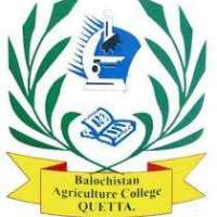 Balochistan Agriculture College Logo