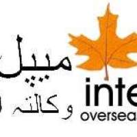 Maple International Logo