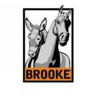 Brooke Hospital For Animals Logo