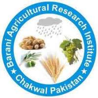 Barani Agricultural Research Institute Logo