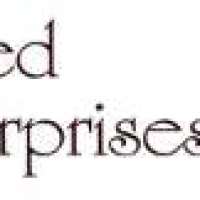 United Enterprises Logo