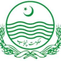 Punjab Energy Department Logo