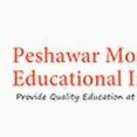 Peshawar Model School Logo