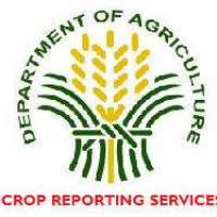 Directorate Of Crop Reporting Service, Agriculture Department Logo