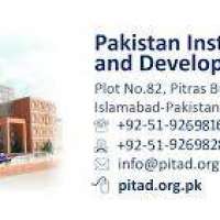 Pakistan Institute Of Trade And Development Logo