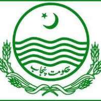 Punjab Power Development Company Limited - PPDCL Logo