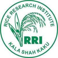 Rice Research Institute - RRI Logo