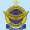 Fazaia Intermediate College Logo