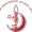 Fatima Jinnah Medical University Logo