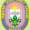 Pakistan Scouts Cadet College Logo