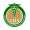 School Of Health Sciences Logo