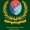 Military Engineer Services Logo