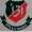 DPS College Okara Logo