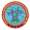 NTDC Logo