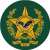Narcotics Force Logo