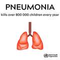 Stop Pneumonia Preventing Pneumonia in Children s is an Essential Component