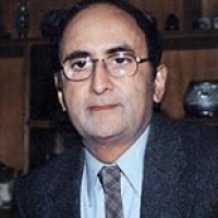 Dr Hasan Askari Rizvi Columns