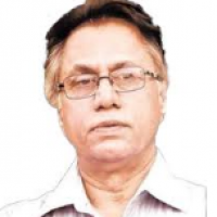 Hassan Nisar Columns