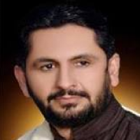 Saleem Safi Columns