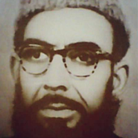 Amir Usmani Poetry