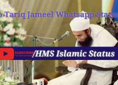 Mo Tariq Jameel Whatsapp Status 06 04 2018 HMS Islamic TV
