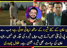 PMLN Ky Bouncer Imran Khan Dog Shero Left Because Of Aamir Liaquat Ary News Headlines