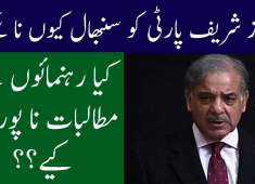 Shahbaz Sharif And Pmln Future View Point Jaag News