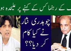 Who Is Responsible For PMLN Crises Neo 5 Neo News