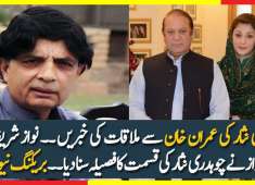 Daily News Breaking News What PMLN Decided About Chaudhry Nisar