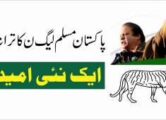 Ek nai Umeed PMLN Nawaz Sharif Anthem 2018