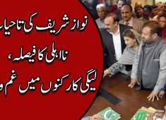 PMLN Workers Stage Protest Against SC Judgment Abb Takk News