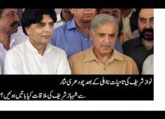 After N waz shareef Disqualification Choudhary Nisar meets with PML n president Shahbaz Sharif