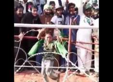 Amazing dance of child on PMLN songMind blowing Excellent