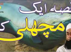 Maulana Tariq Jameel Islamic Bayan Urdu Eel Machhali Fish Ka Kissa