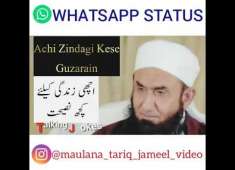 Maulana Tariq jameel videos