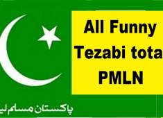 PMLN All Funny Punjabi Totay Tezabi Totay Punjabi Dubbing