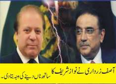 Asif Ali Zardari Reveal Truth Why he is not Helping Pmln Nawaz Sharif in current situation