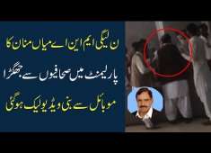 PMLN MNA Mian Abdul Manan Fight With Journalist In Parliament