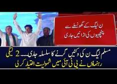 Pakistan News Big Wicket Of PMLN Joins PT