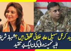 Tehmina Durrani Bashing PMLN Nawaz Sharif Urdu TV
