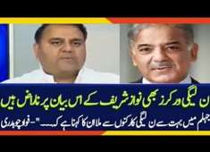 Fawad Chaudhry Revealed Inside News About PMLN Workers